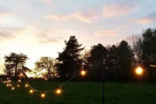 Festoon – 100m – 100 Lamp