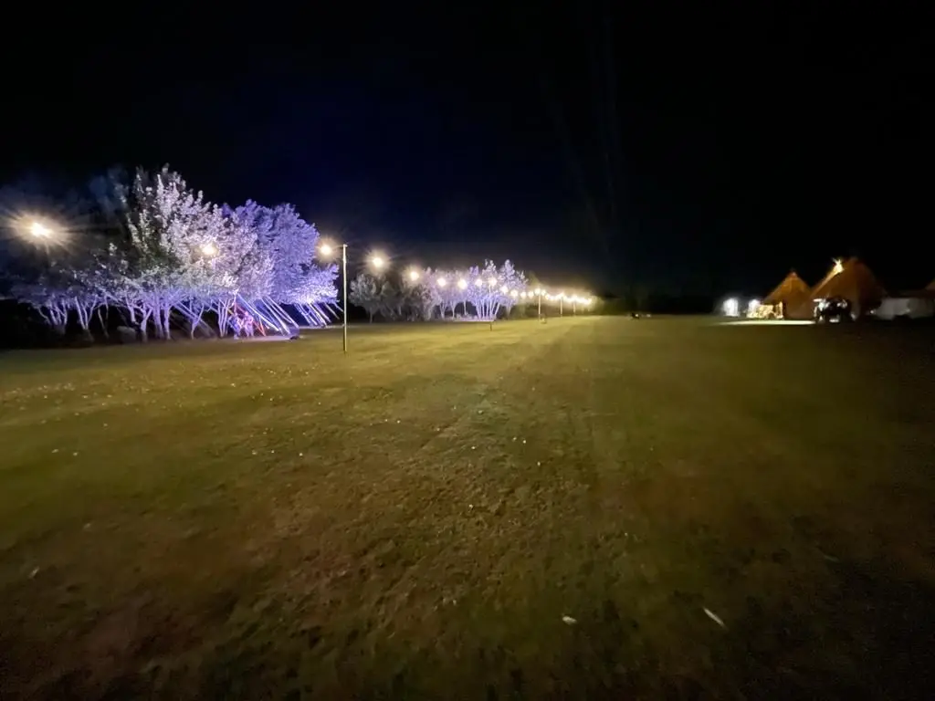 Festoon lighting running across the field at night