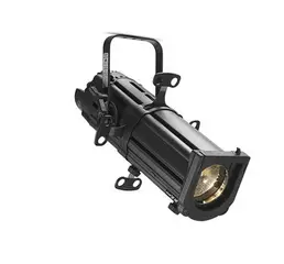 Selecon Acclaim Axial Spot